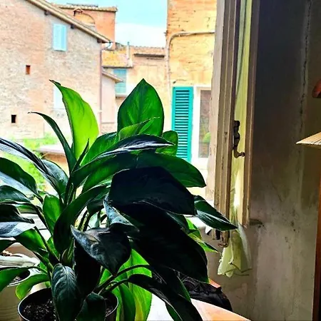 Guest house Luna Lilla *